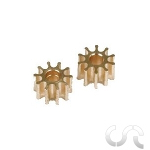 Pignon standard 10 dents x2