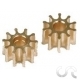 Pignon standard 10 dents x2