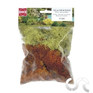 Mousse d'Islande Brune/Verte