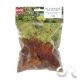 Mousse d'Islande Brune/Verte
