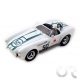 AC Cobra N°50
