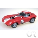 Cheetah Bill Thomas N&deg;27