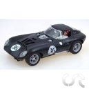 Cheetah Bill Thomas N&deg;36