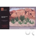Grands Cactus