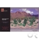 Petits Cactus