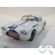 Chevrolet Corvette LM60 kit pré-peint 