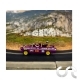Ford Anglia 105E " Hot Rod UK 1976 " N°306