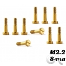 Vis Métrique de Suspension (M2.2 x 8mm) Pou Formula 22 x10