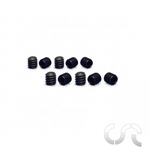 Vis Allen M2 x 2mm pour Couronne et Jante NSR x10