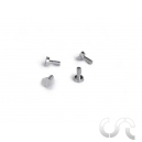 Vis Métriques Ergal M2.2x5.3mm Tête large x4