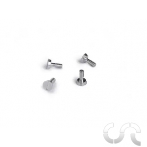 Vis Métriques Ergal M2.2x5.3mm Tête large x4