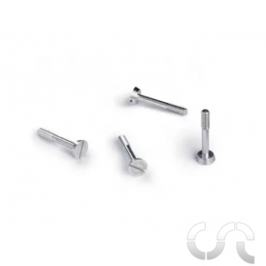 Vis Métriques Ergal M2.2x13mm Tête large x4