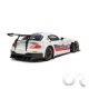 BMW Z4 GT3 " Martini Racing White " N°25