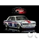 Datsun 510 " Vintage Grand Prix 2010 " N°95