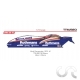 Sidecar TTM/Beo-Yamaha " Fim Sidecar World Championship 1978 " Rothmans N°4  (1/18éme)