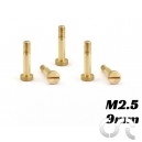 Vis M&eacute;trique de Suspension M2.5xx9 Partiellement filet&eacute;e x10