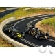 Twin Car Pack " Ronnie Peterson Lotus " N°6 et N°1