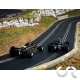 Twin Car Pack " Ronnie Peterson Lotus " N°6 et N°1