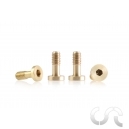 Metric Brass Screw "Extra Small" M2 Flat Head 3.8 x 6.5mm x6 - 1/24