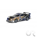 Ford Mustang GT4 "Canadian GT 2021" N°22